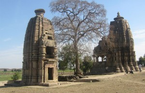 Kadvaya,Chanderi